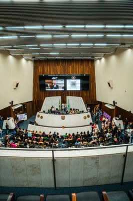 Procuradoria Especial da Mulher | Curitiba-PR | 19 e 20 de fevereiro de 2025